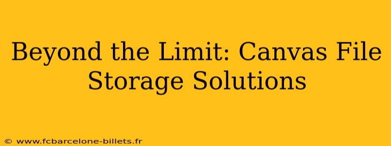Beyond the Limit: Canvas File Storage Solutions