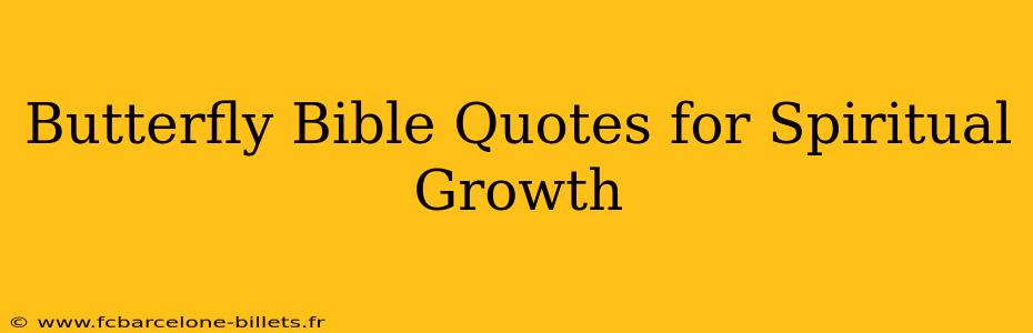 Butterfly Bible Quotes for Spiritual Growth