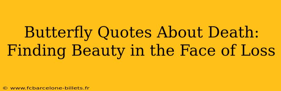 Butterfly Quotes About Death:  Finding Beauty in the Face of Loss
