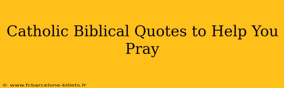 Catholic Biblical Quotes to Help You Pray