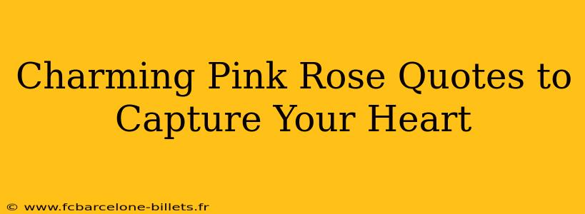 Charming Pink Rose Quotes to Capture Your Heart