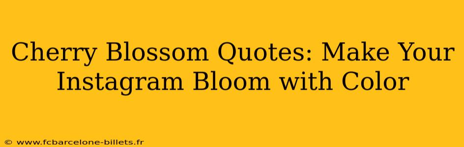 Cherry Blossom Quotes: Make Your Instagram Bloom with Color