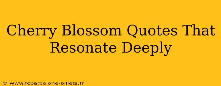 Cherry Blossom Quotes That Resonate Deeply