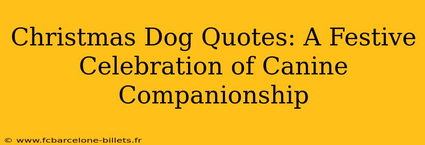 Christmas Dog Quotes: A Festive Celebration of Canine Companionship