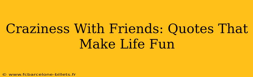 Craziness With Friends: Quotes That Make Life Fun
