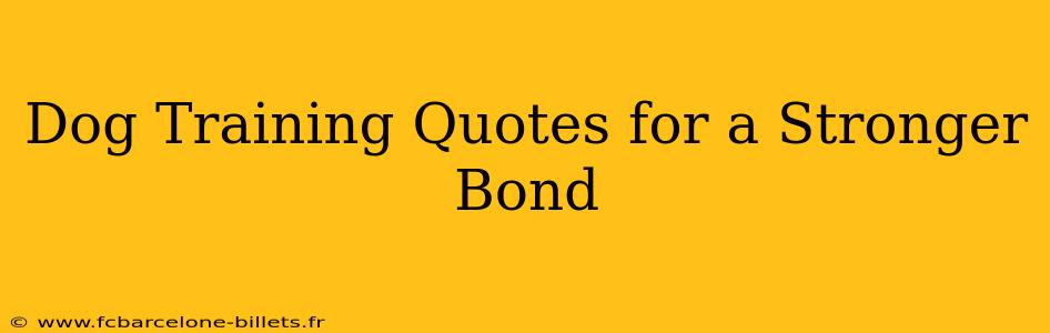 Dog Training Quotes for a Stronger Bond