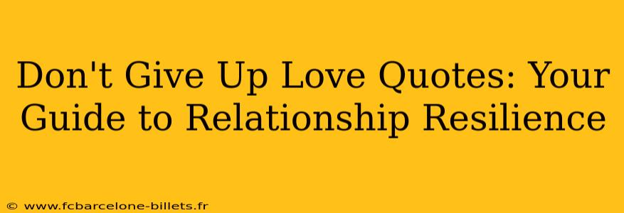 Don't Give Up Love Quotes: Your Guide to Relationship Resilience