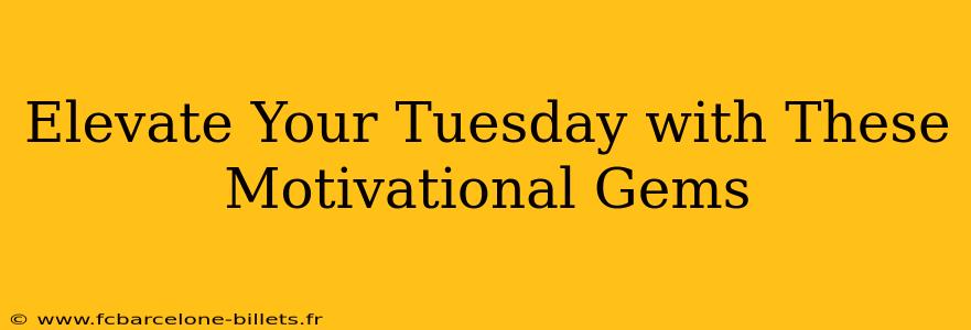 Elevate Your Tuesday with These Motivational Gems