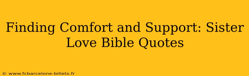 Finding Comfort and Support: Sister Love Bible Quotes