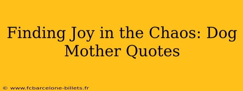 Finding Joy in the Chaos: Dog Mother Quotes