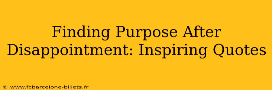 Finding Purpose After Disappointment: Inspiring Quotes