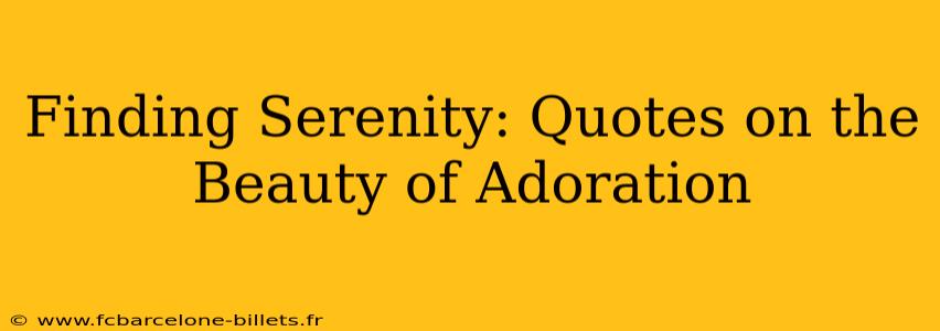 Finding Serenity: Quotes on the Beauty of Adoration