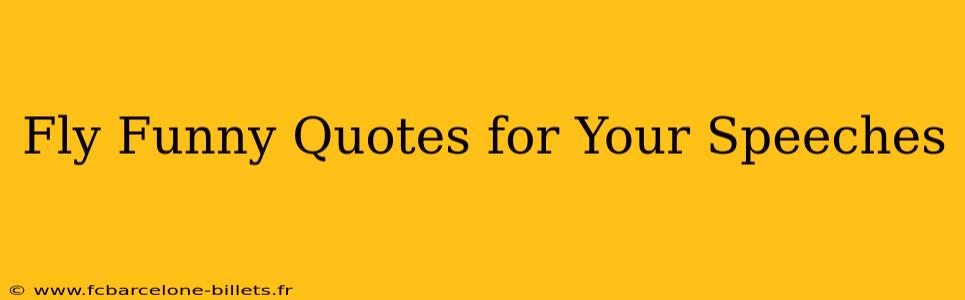 Fly Funny Quotes for Your Speeches