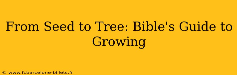 From Seed to Tree: Bible's Guide to Growing