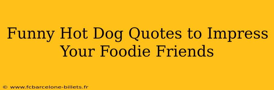 Funny Hot Dog Quotes to Impress Your Foodie Friends