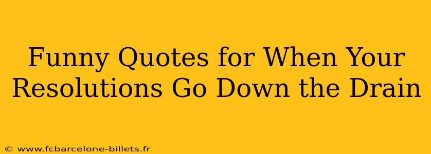 Funny Quotes for When Your Resolutions Go Down the Drain