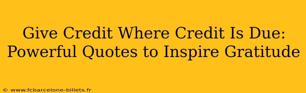 Give Credit Where Credit Is Due: Powerful Quotes to Inspire Gratitude