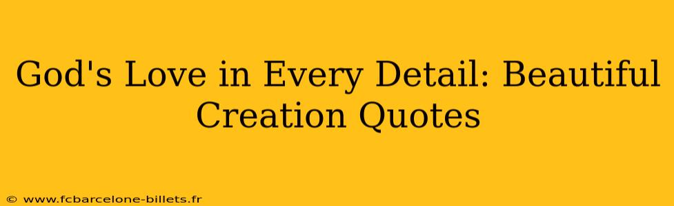 God's Love in Every Detail: Beautiful Creation Quotes