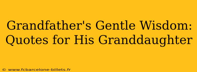 Grandfather's Gentle Wisdom: Quotes for His Granddaughter