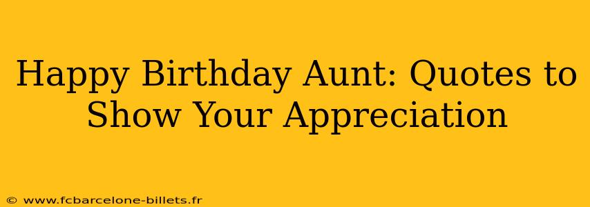 Happy Birthday Aunt: Quotes to Show Your Appreciation