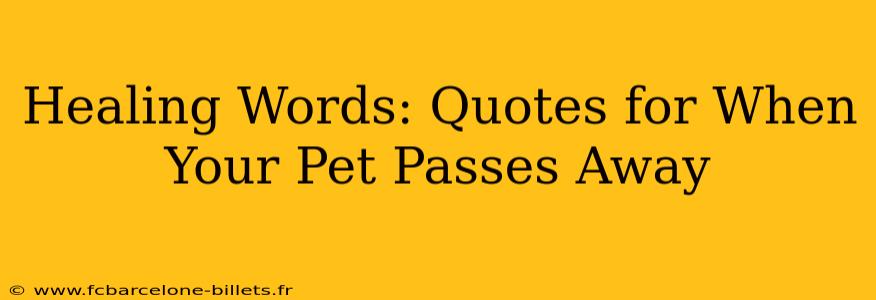 Healing Words: Quotes for When Your Pet Passes Away