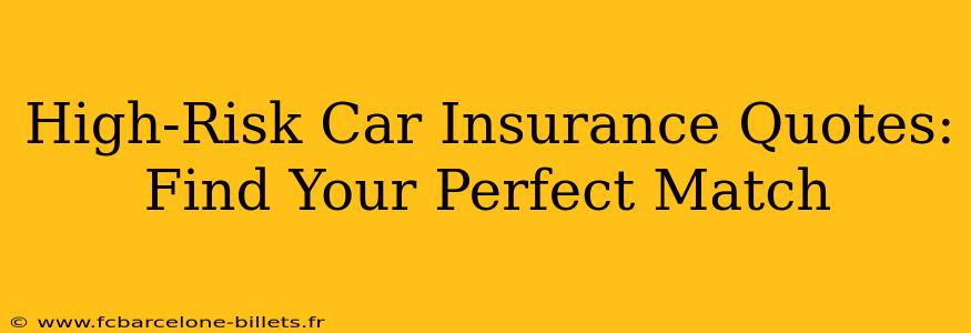 High-Risk Car Insurance Quotes:  Find Your Perfect Match