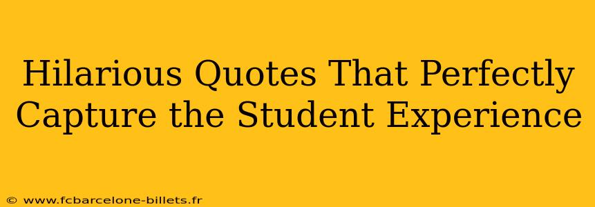 Hilarious Quotes That Perfectly Capture the Student Experience