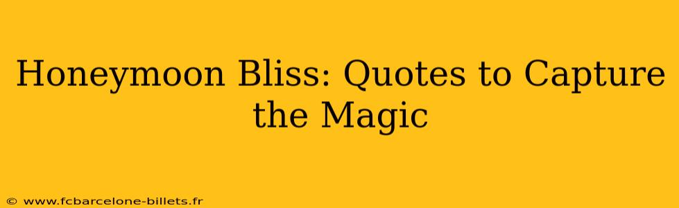 Honeymoon Bliss: Quotes to Capture the Magic