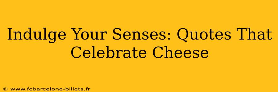 Indulge Your Senses: Quotes That Celebrate Cheese