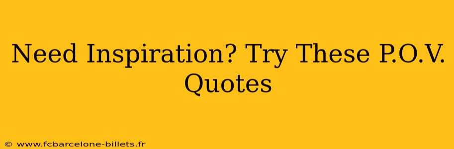 Need Inspiration? Try These P.O.V. Quotes