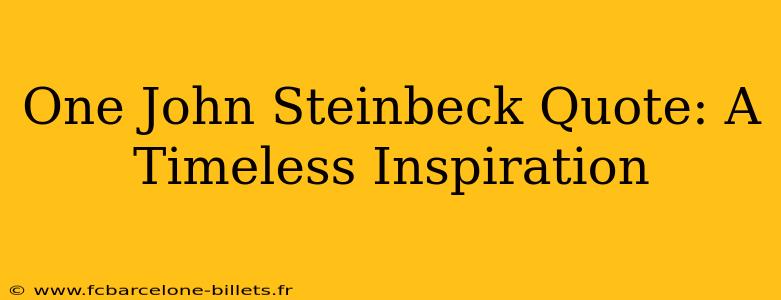 One John Steinbeck Quote: A Timeless Inspiration