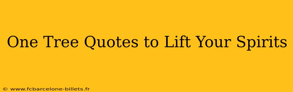 One Tree Quotes to Lift Your Spirits