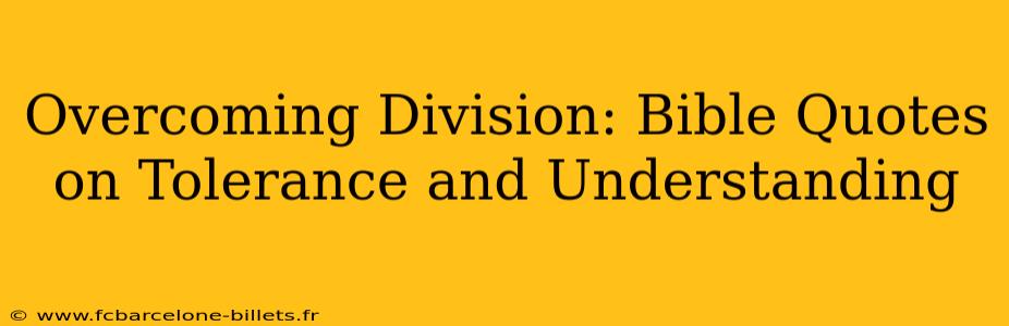 Overcoming Division: Bible Quotes on Tolerance and Understanding