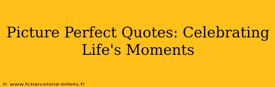 Picture Perfect Quotes: Celebrating Life's Moments