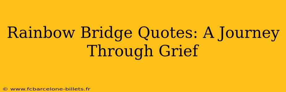 Rainbow Bridge Quotes: A Journey Through Grief