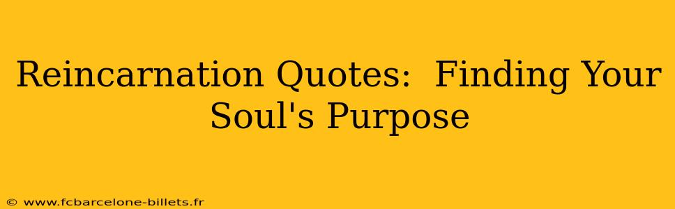 Reincarnation Quotes:  Finding Your Soul's Purpose