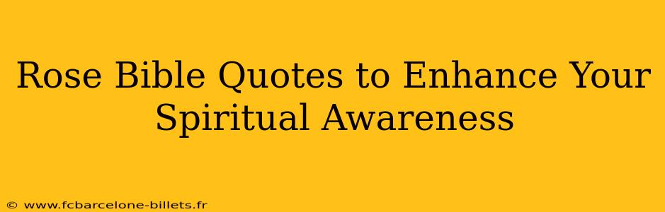 Rose Bible Quotes to Enhance Your Spiritual Awareness