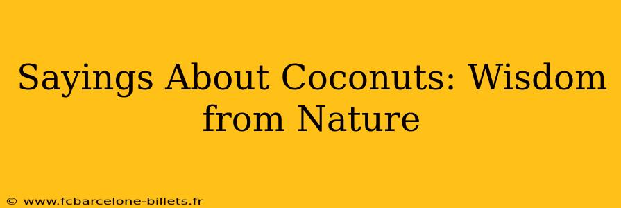 Sayings About Coconuts: Wisdom from Nature