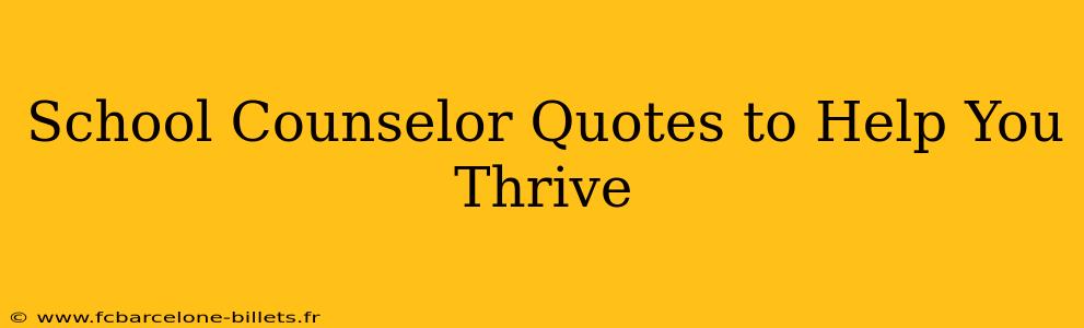 School Counselor Quotes to Help You Thrive