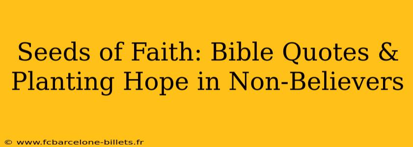 Seeds of Faith: Bible Quotes & Planting Hope in Non-Believers