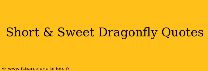 Short & Sweet Dragonfly Quotes