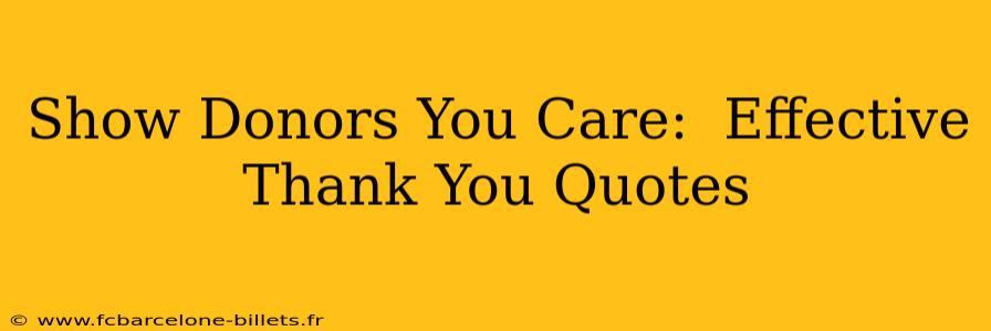 Show Donors You Care:  Effective Thank You Quotes