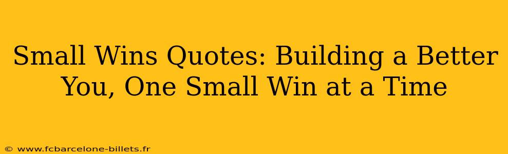 Small Wins Quotes: Building a Better You, One Small Win at a Time