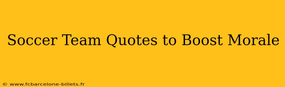 Soccer Team Quotes to Boost Morale