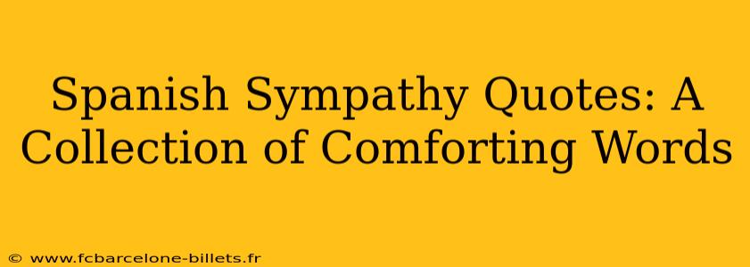 Spanish Sympathy Quotes: A Collection of Comforting Words