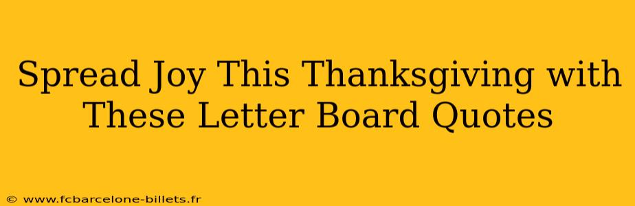Spread Joy This Thanksgiving with These Letter Board Quotes