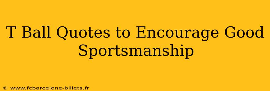 T Ball Quotes to Encourage Good Sportsmanship