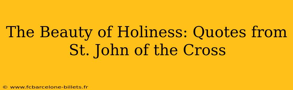 The Beauty of Holiness: Quotes from St. John of the Cross