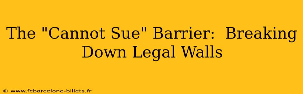 The "Cannot Sue" Barrier:  Breaking Down Legal Walls