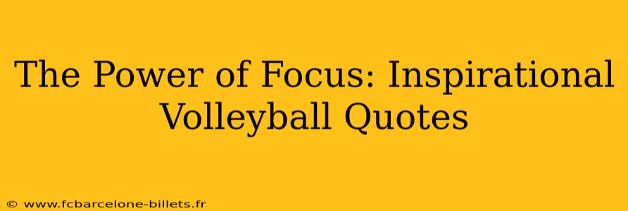 The Power of Focus: Inspirational Volleyball Quotes
